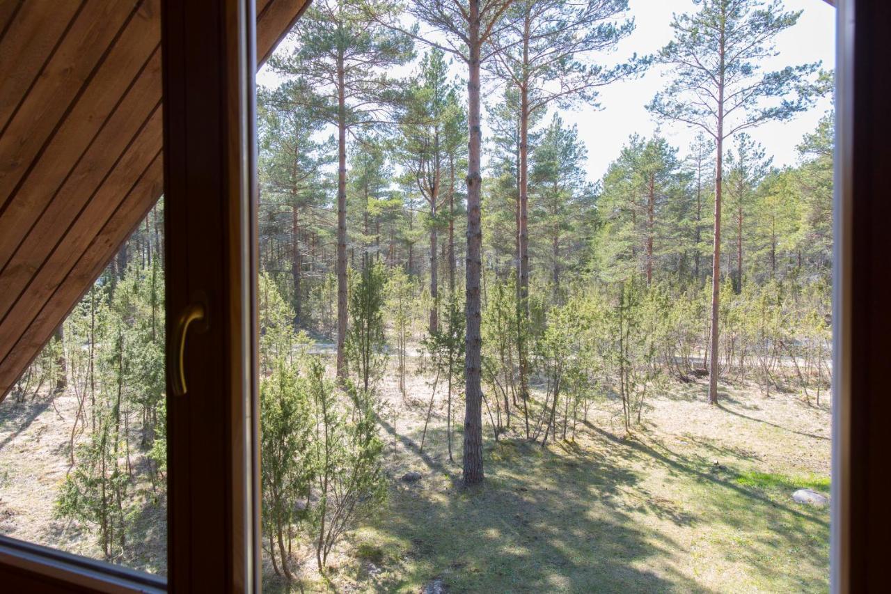 Pootsmani Maja Villa Paatsalu ภายนอก รูปภาพ
